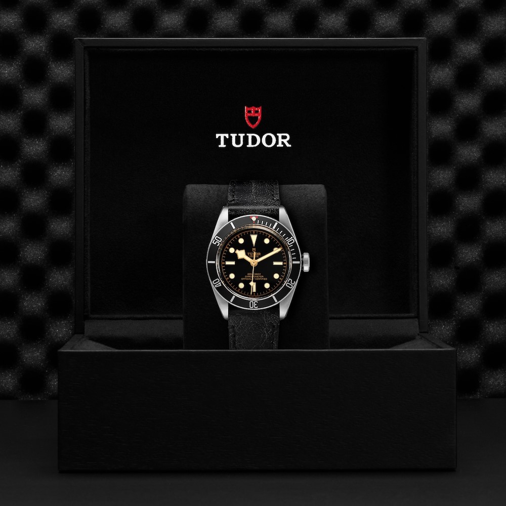 Tudor Black Bay